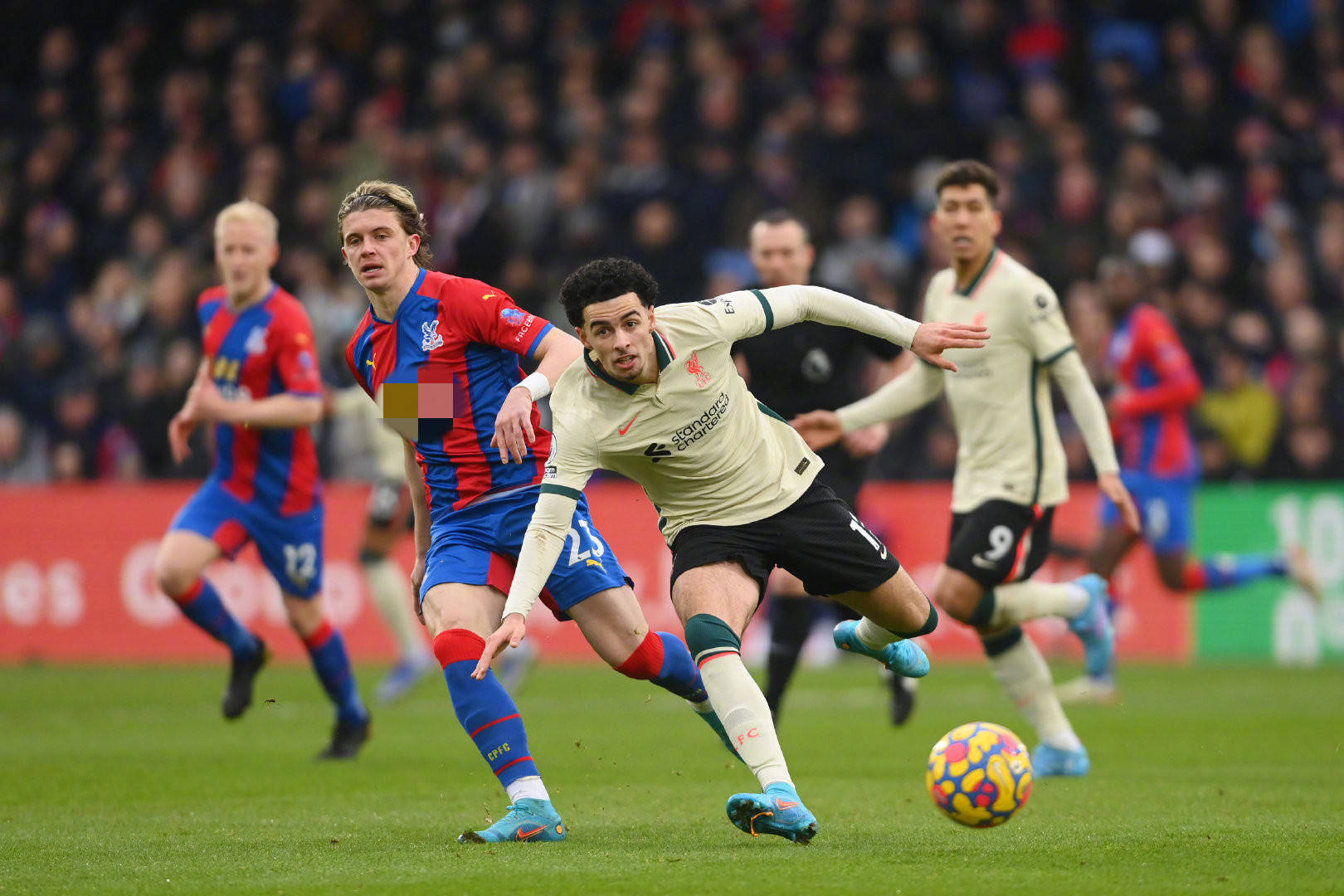 少六个月的 少六个月的