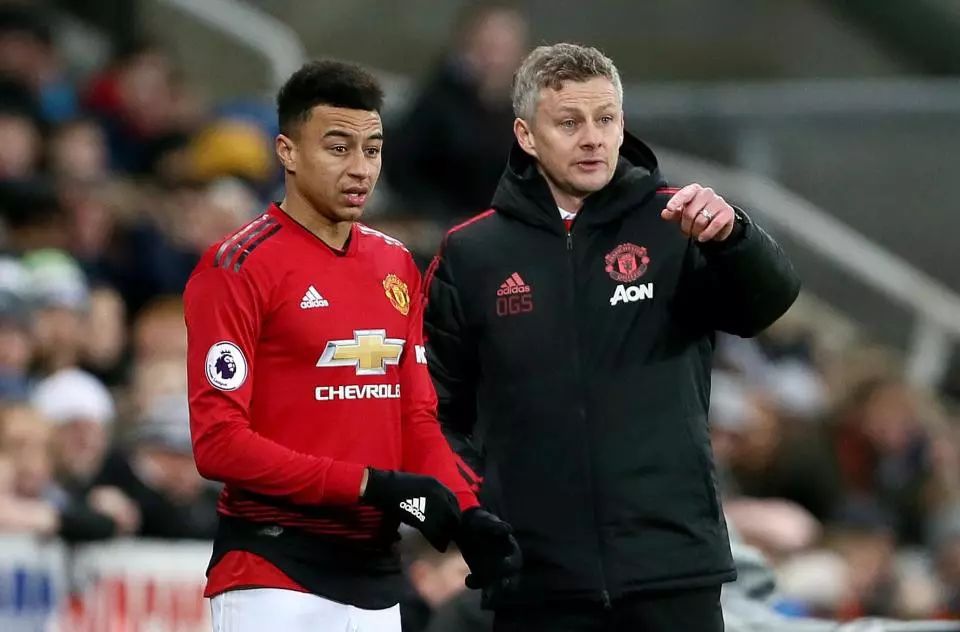 的进一步繁 的进一步繁