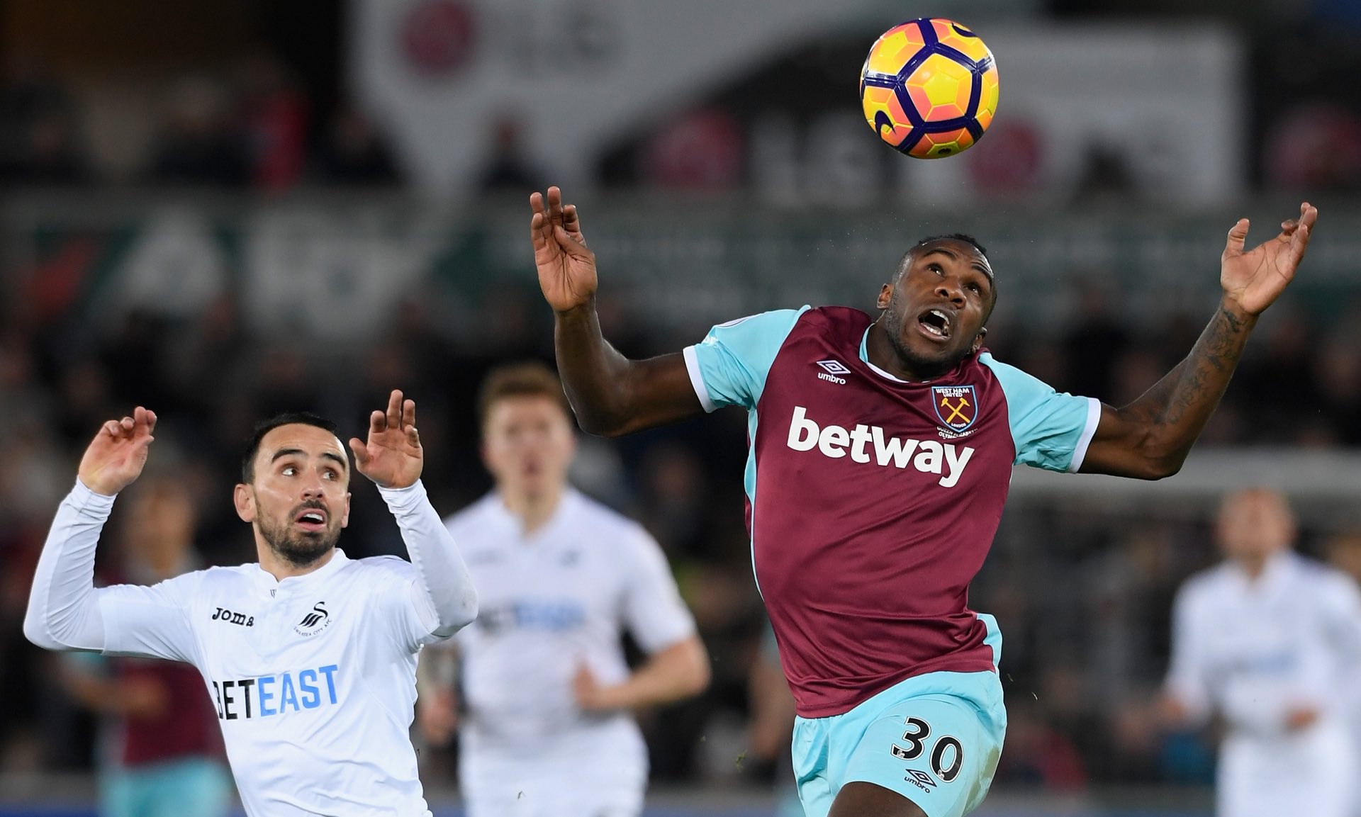 大利亚的斯 大利亚的斯