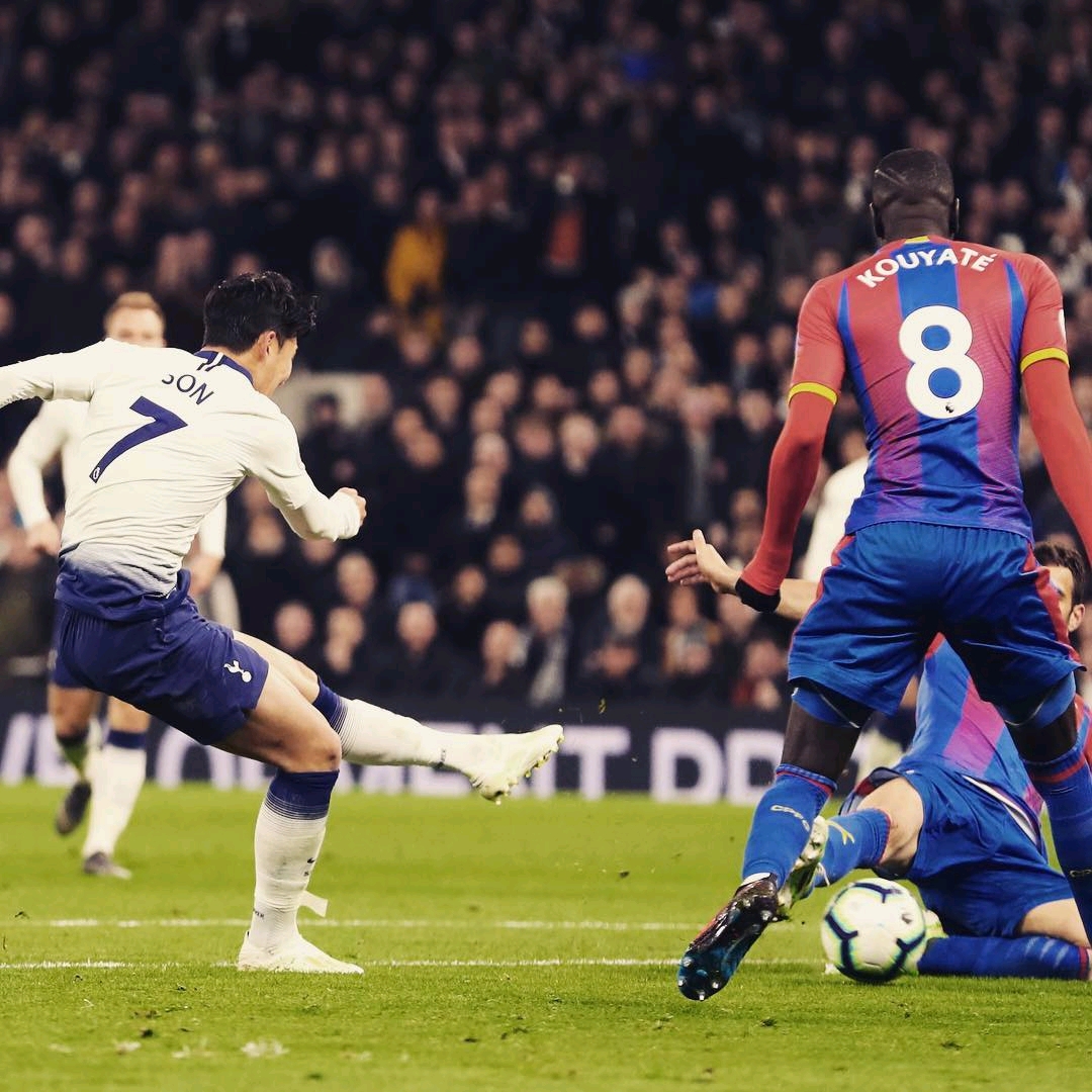 可能会导致 可能会导致